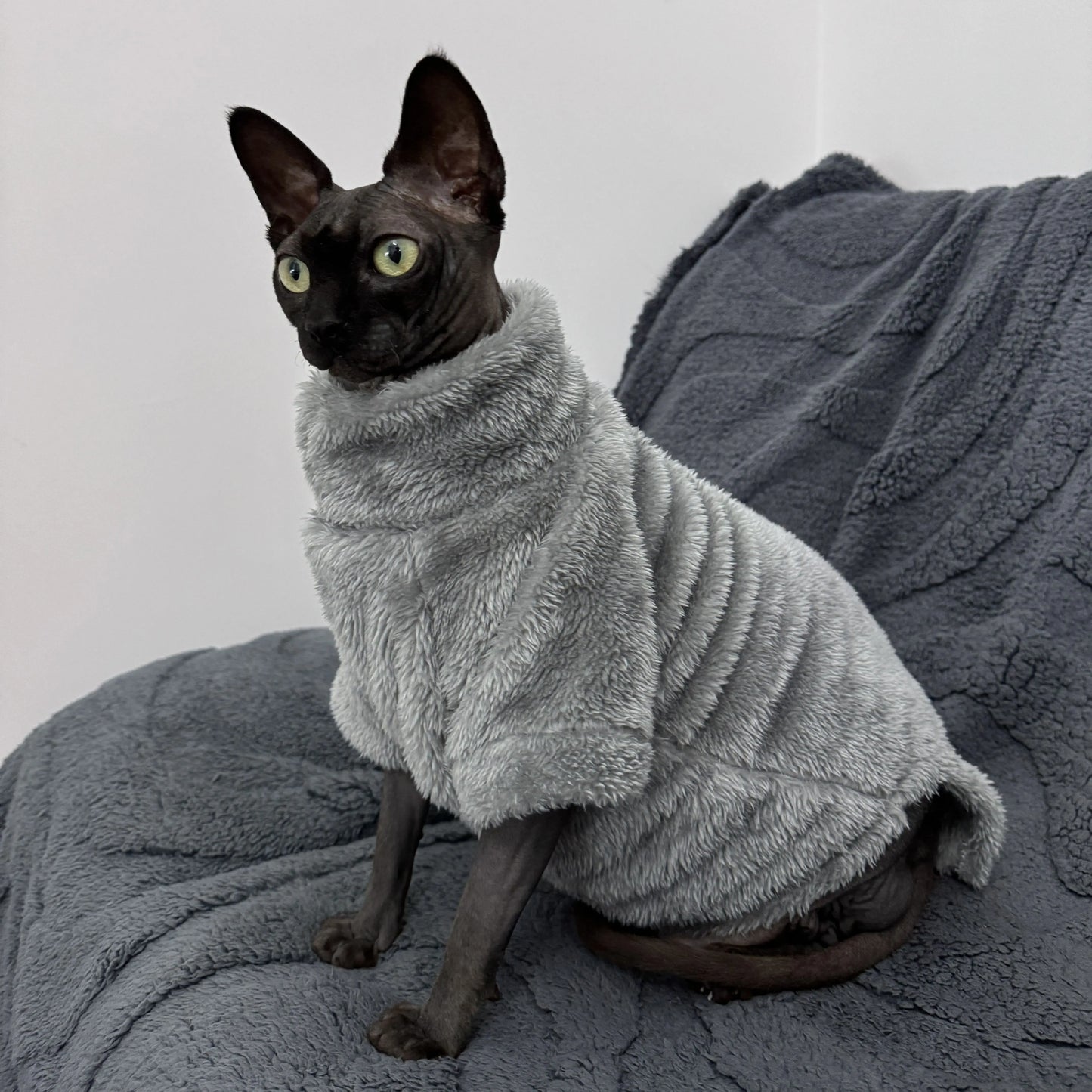 Sphynx Cat Clothes 5colors Winter Soft Cotton Sweater Cozy Fleece Pet Sweater for Cats Small Dogs Skin-friendly for Devon Rex