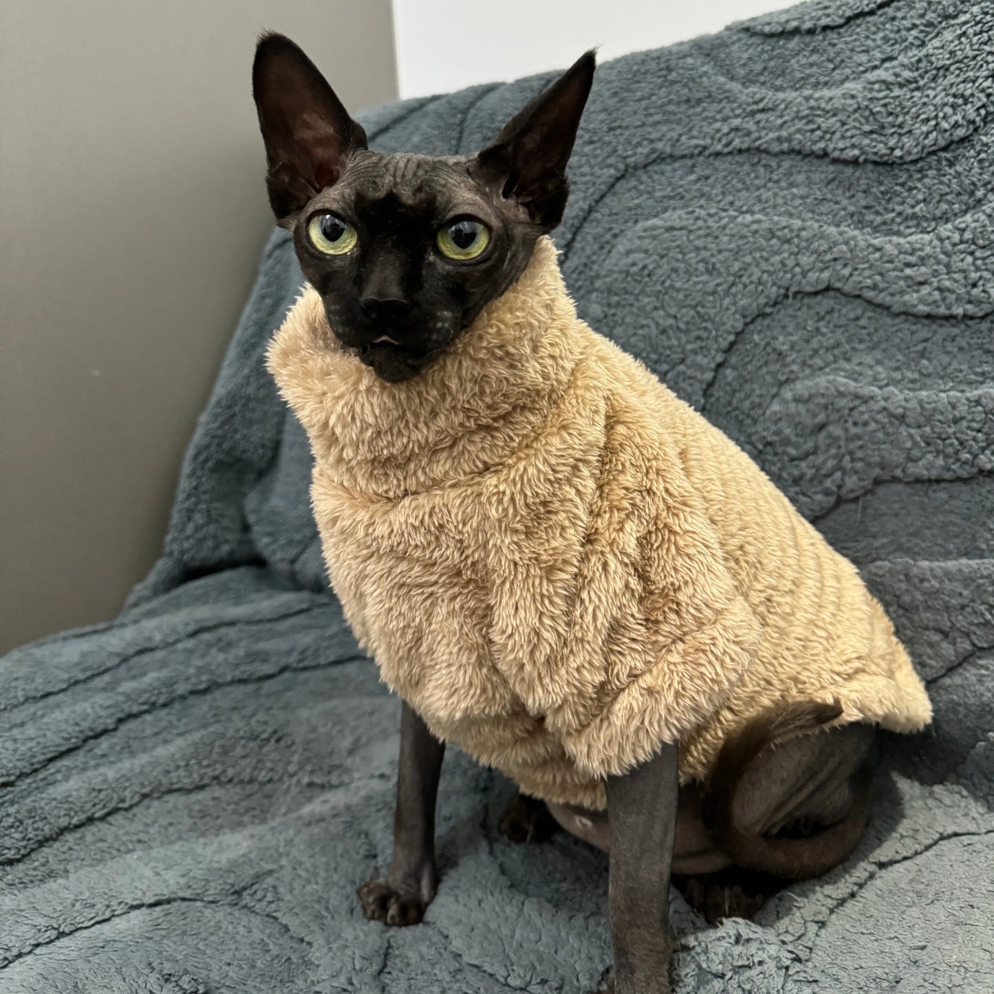 Sphynx Cat Clothes 5colors Winter Soft Cotton Sweater Cozy Fleece Pet Sweater for Cats Small Dogs Skin-friendly for Devon Rex